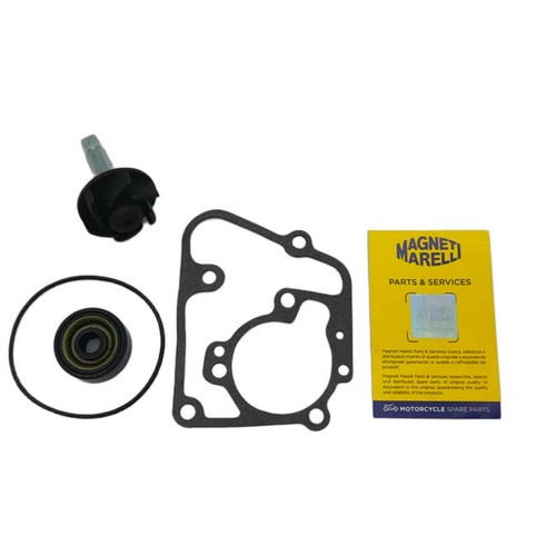 Kit revisione pompa acqua