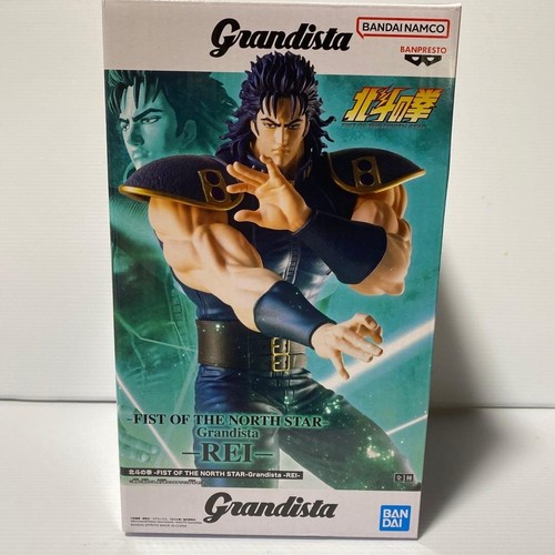 Fist the north star - fist,