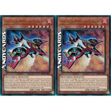 SALVATAGGIO-ASSO FUOCO