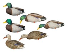 6 stampi assortiti di germano