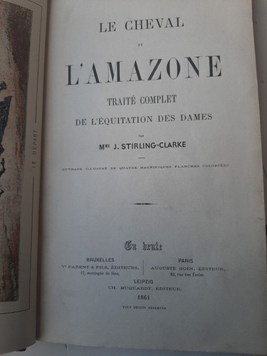 Cheval amazone traité - cheval,