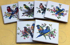 Piastrelle 10x10 con uccellini