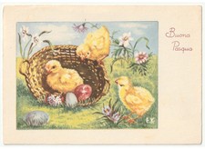 1961 E.K. prato pulcini cesto uova decorate cartolina vintage Buona Pasqua