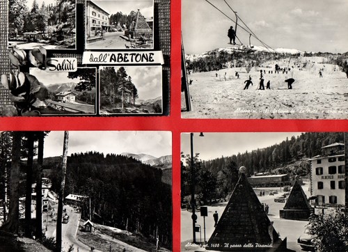 Abetone lotto di 12 - abetone,