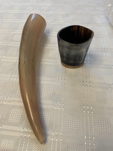 Pair viking drinking horns - of,