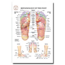Poster Riflessologia del Piede