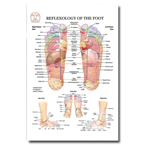 Poster riflessologia del piede - poster,