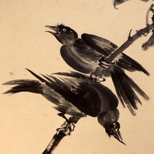 Quadro giapponese da appendere rotolo Kakejiku corvo e nespolo inchiostro con scatola ASO409