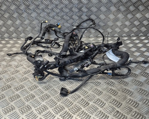 Telaio cablaggio motore