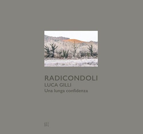 Radicondoli luca gilli - radicondoli.,