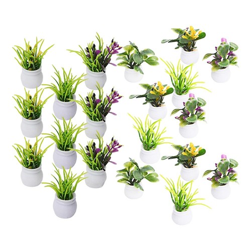 Piante bonsai decorative - , in