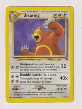 Ursaring - Pokemon 2001 - Neo