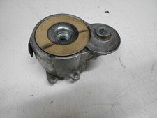 Tendicinghia alternatore per