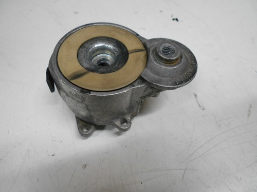 Tendicinghia alternatore per