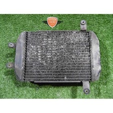 Radiatore acqua Suzuki Burgman 250 1998 2001