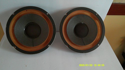 Vintage alnico 4dw woofers - alnico,