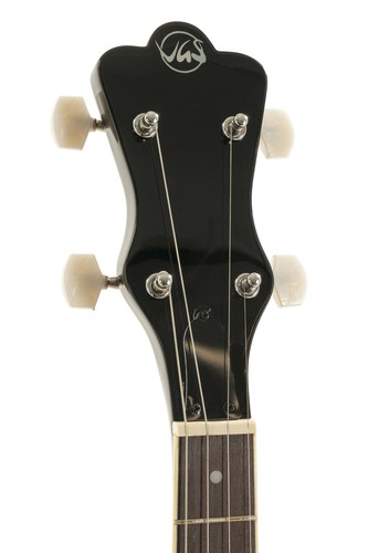 Strumenti corda vari - strumenti,
