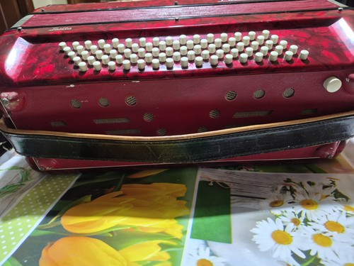 Fisarmonica bassi - fisarmonica,