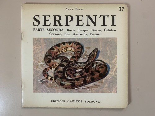 Serpenti anna besso visioni - serpenti,