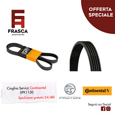 Cinghia Servizi Poly-V