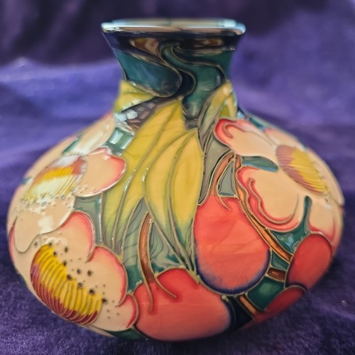 Vaso ceramica moorcroft - vaso, club
