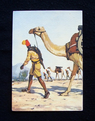 Cartolina illustrata ascari - illustrata,