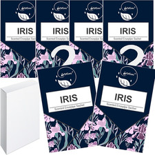 6Pcs Profuma Armadio Vestiti, Profumatori Armadio E Cassetti, Profumatore Auto, 