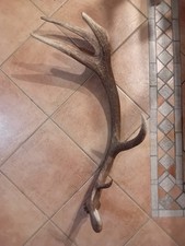 Palco Di Cervo / Corna Di