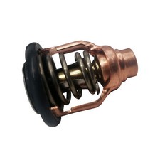 Termostato per motore