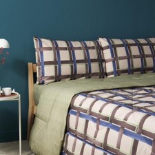 TRAPUNTA BASSETTI CHECK 1