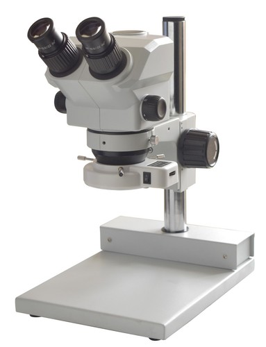 Microscopio zoom stereo