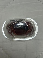 Nature Technicolor granchio giapponese cinturino rosso mai aperto