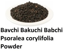 Bavchi Bakuchi Babchi Psoralea
