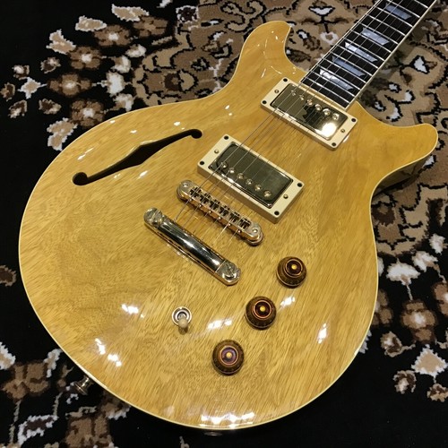Chitarra elettrica usata hamer - elettrica,