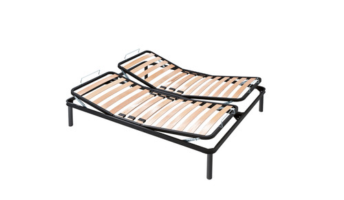 Rete doghe galaxy - rete,