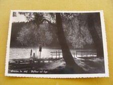 (FG.AR) LAVARONE - RIFLESSI SUL LAGO (vg 1951, ed. A. Bicego) di