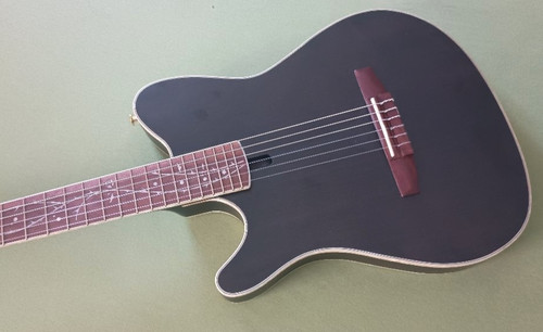 Chitarra elettrica concerto - chitarra, da