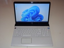 Sony VAIO SVE171 17,3 pollici