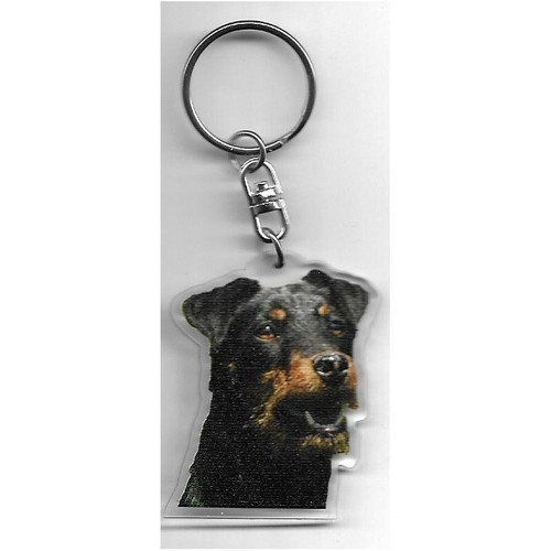 Jagd terrier chien - jagd, porte