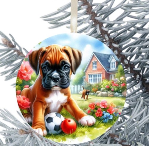 Boxer cucciolo cane appeso - cucciolo,