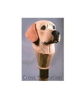 Labrador Retriever Dog Head