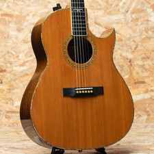 Larrivee C-10 Cavallo Marino 1990