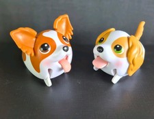 Chubby puppies friends x - chubby, 2