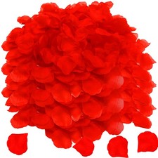 5000 pezzi Petali di Rosa