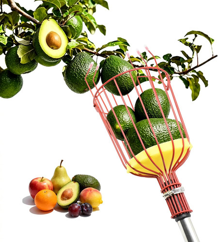 Raccogli frutta 126 - frutta,, 35-126