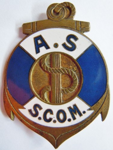Rare insigne politique wwii - wwii, as