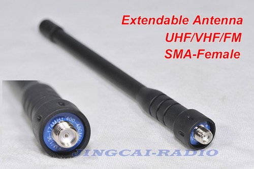 Antenna estensibile dual band