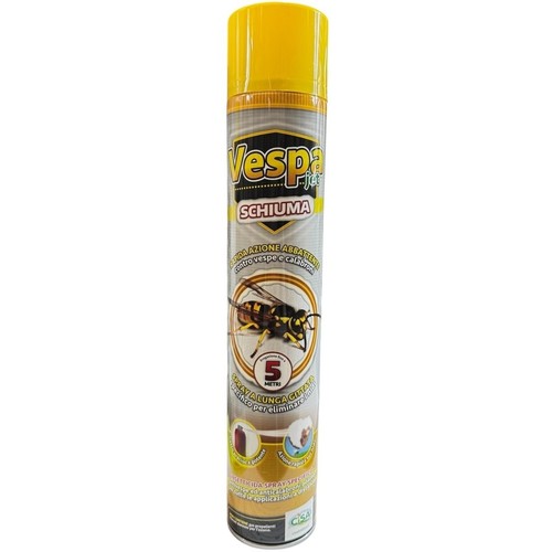 Insetticida spray schiuma - spray,