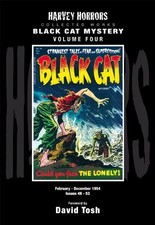 Black cat mystery - cat, mystery: