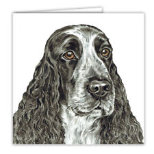 Blue Roan English Cocker